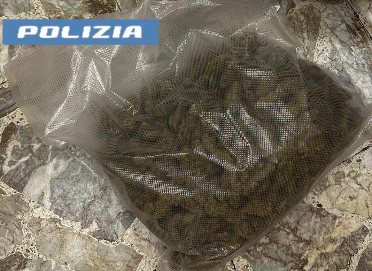 Coppia di coniugi arrestata mentre tenta di liberarsi di marijuana in corsa: un agente libero dal servizio sventa il piano di fuga! - 