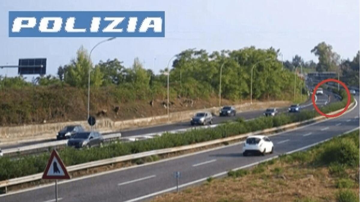 Anziano vaga in autostrada: da una parte all’altra della carreggiata [VIDEO] - 