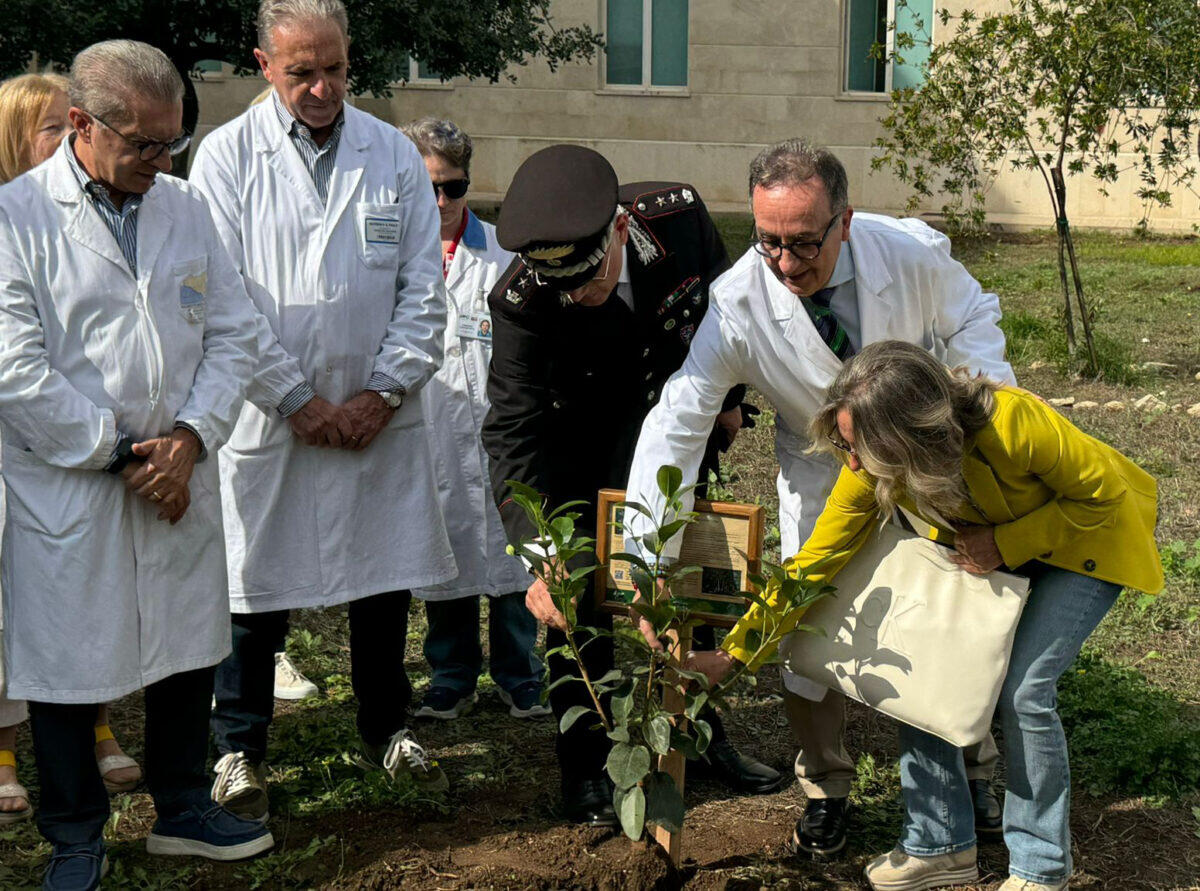 Un albero per la salute piantato in ospedale | Scopri perché questo gesto sta cambiando il futuro della medicina! - 