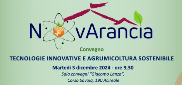 La tecnologia salverà l'arancia rossa di Sicilia? | Scopri cosa si nasconde dietro i cambiamenti agricoli!