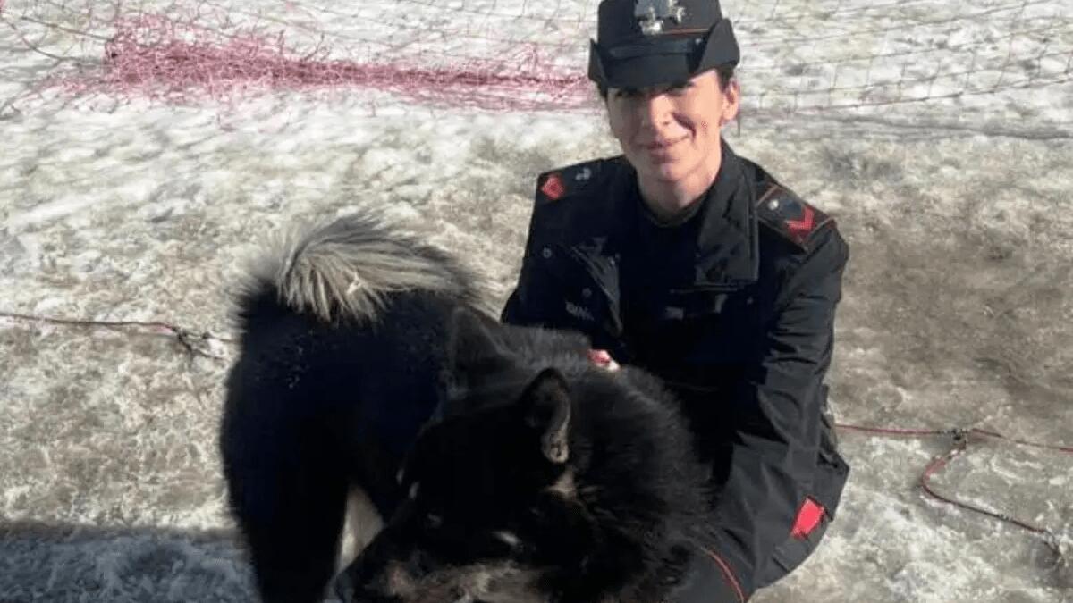 Carabiniere misterbianchese salva una 18enne dal suicidio: sindaco elogia Kiria Morello - 