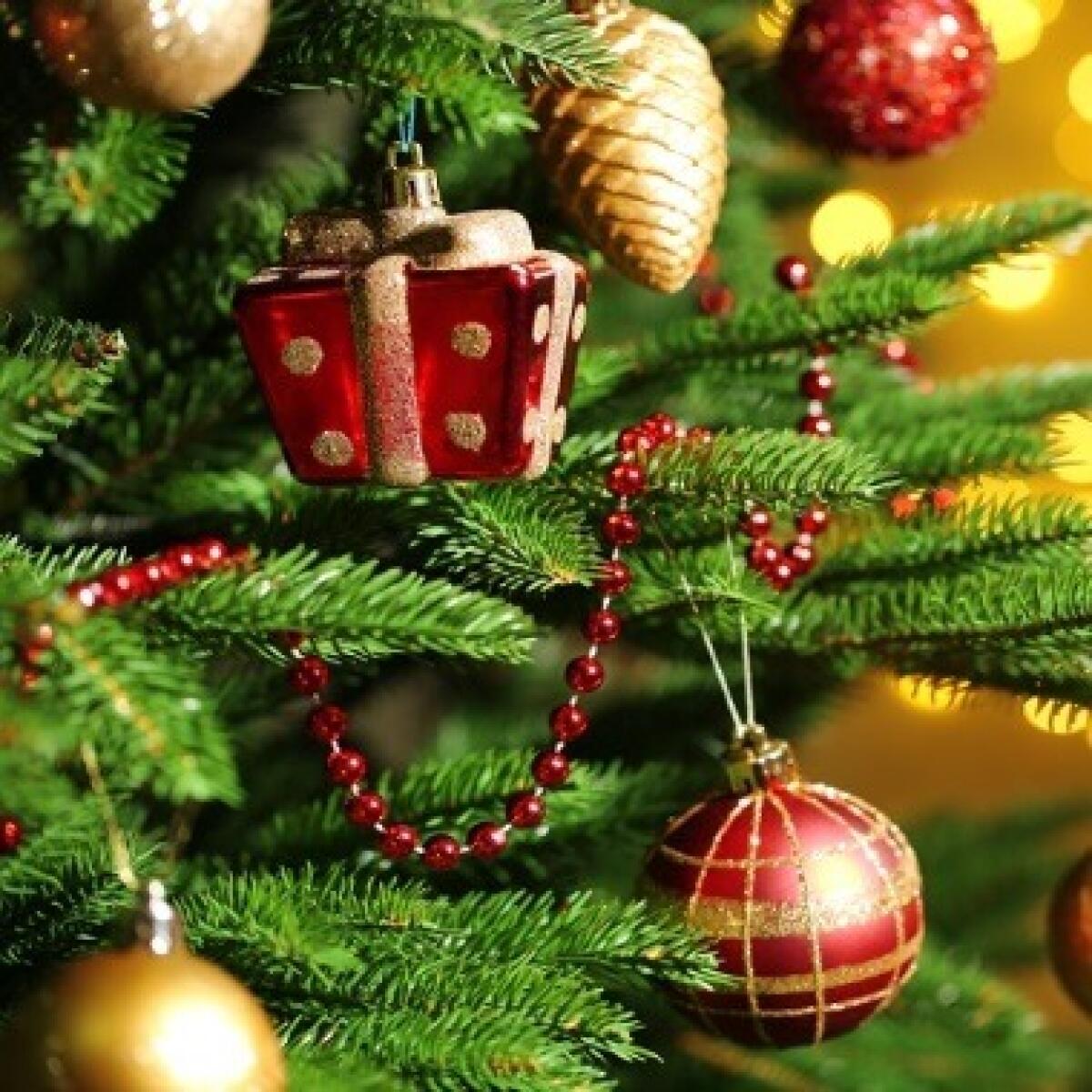 Palermo si prepara a un Natale da record | Ecco perché potresti voler partecipare! - 