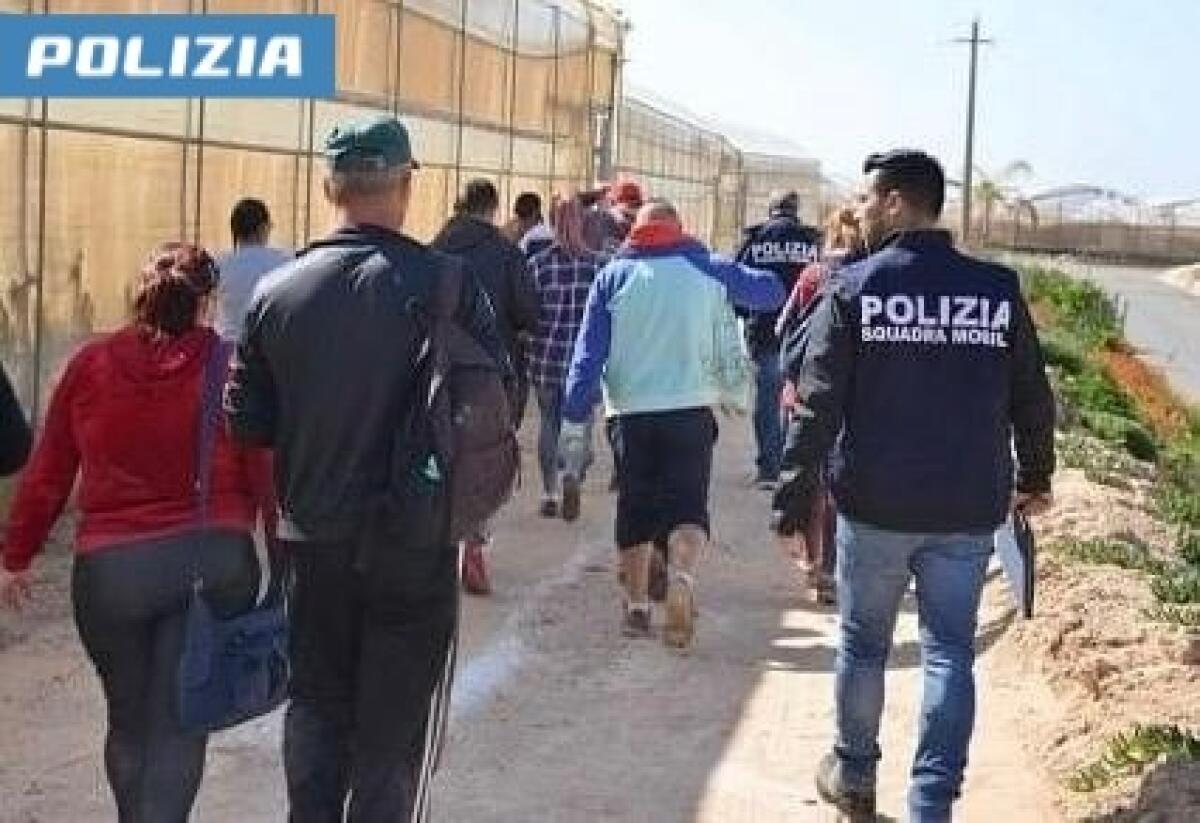 Polizia interviene e smaschera uno sfruttamento lavorativo shock | Scopri cosa si nasconde dietro l'azienda agricola!