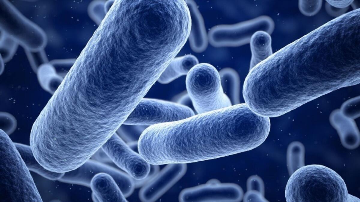 Superbatteri in crescita | Il rischio silenzioso che potrebbe superare il cancro nel 2050! - 
