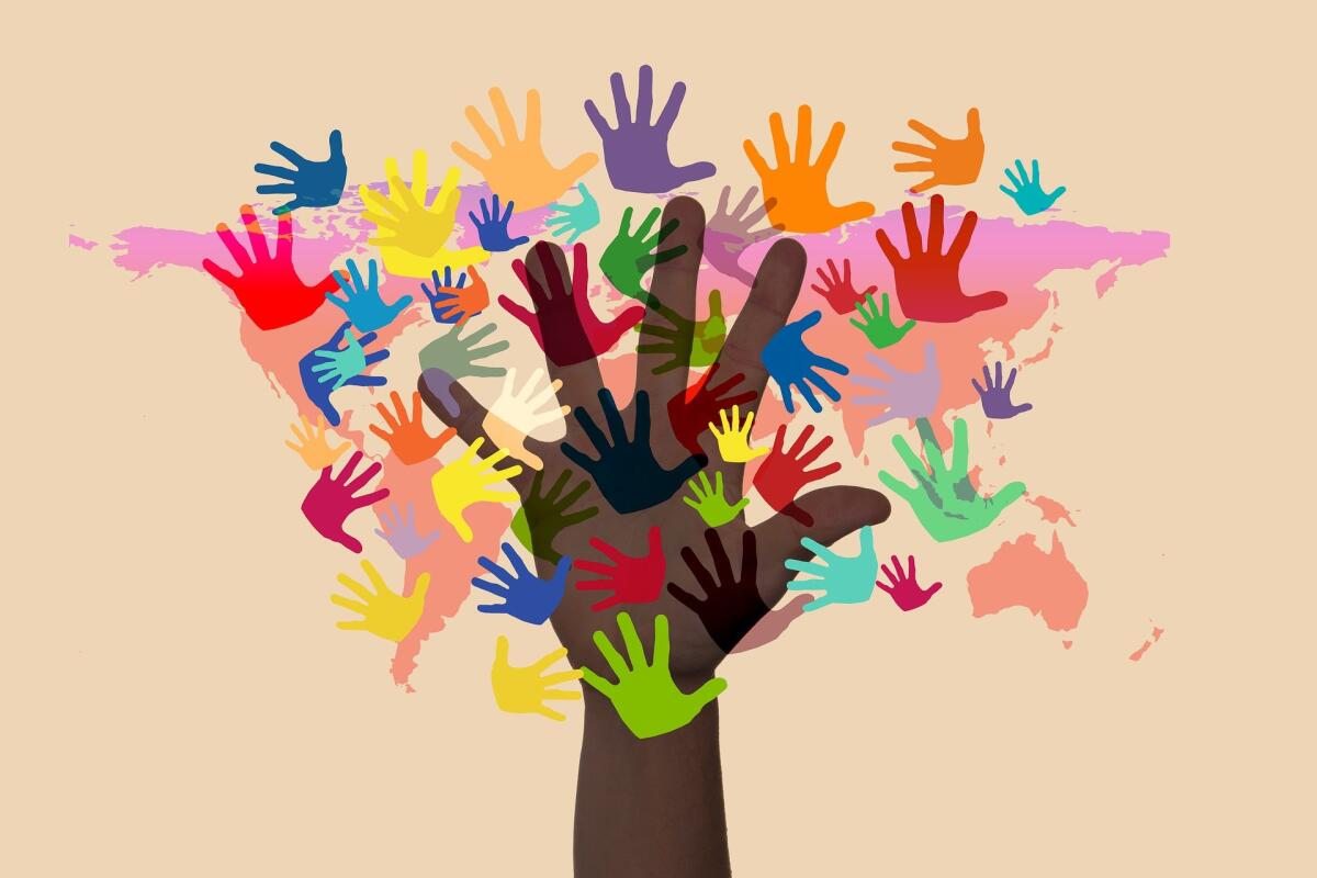Giornata mondiale del volontariato: un'occasione per sensibilizzare le nuove generazioni - 