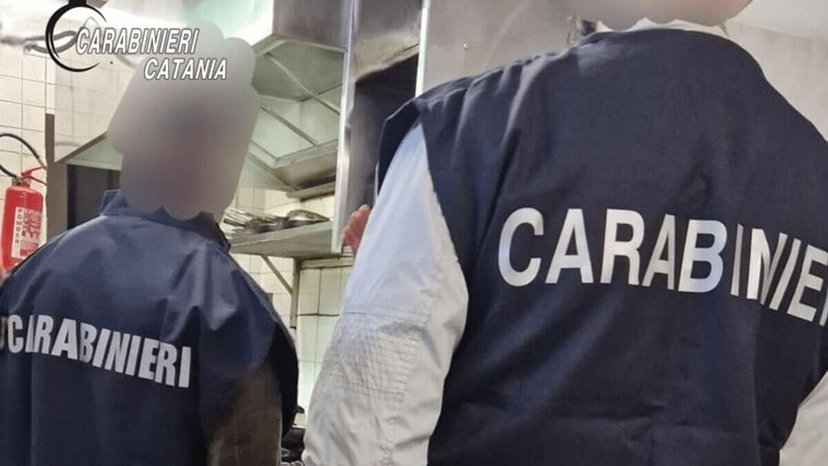 Orrore nel noto ristorante di Aci Trezza: Carabinieri trovano blatte, escrementi di topi e molto altro - 
