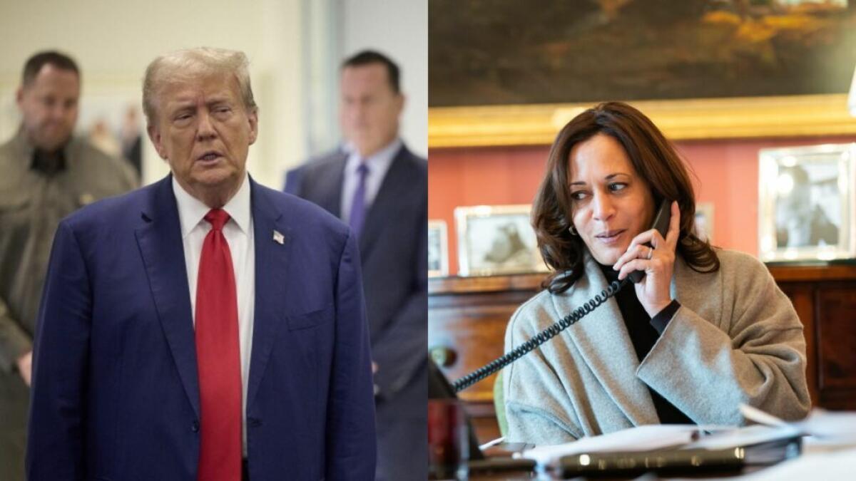 Kamala Harris chiama Trump dopo la sconfitta | Cosa significa per il futuro politico degli Usa? - 