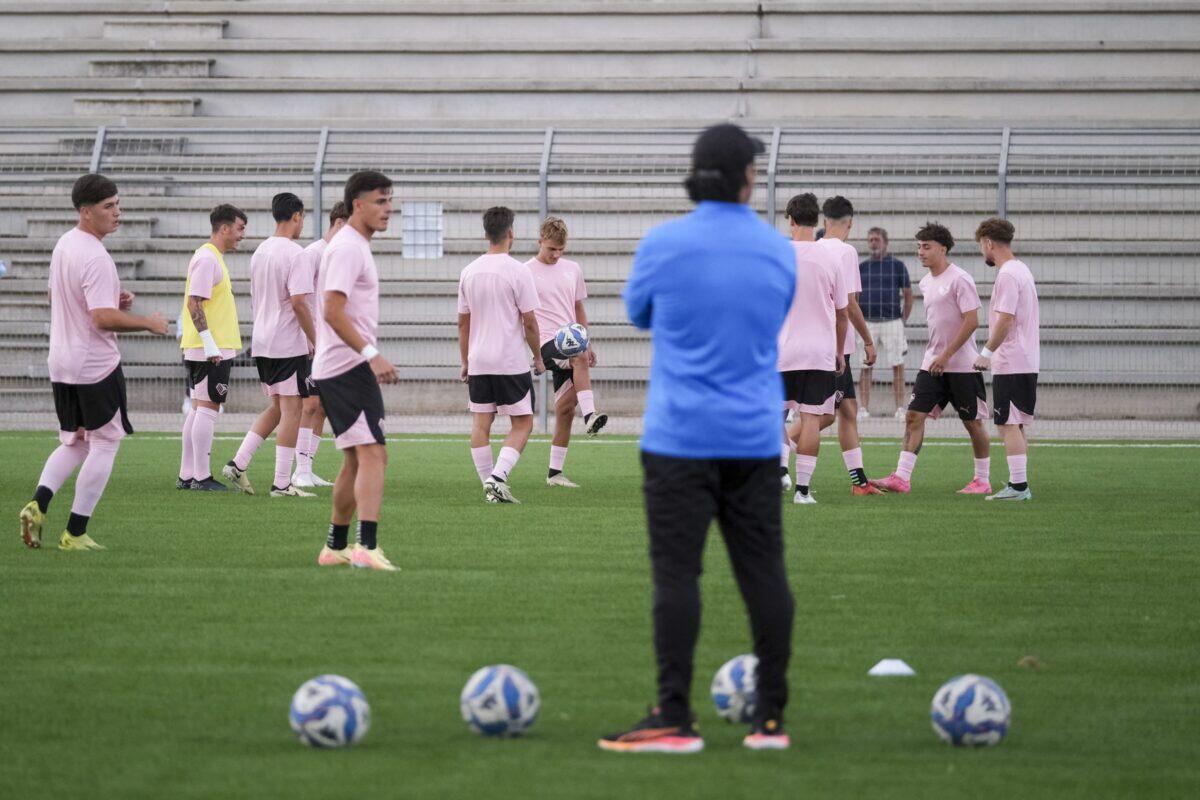 Palermo FC in campo con un giovane talento a sorpresa | Svelati i segreti delle formazioni che sfideranno il futuro! - 
