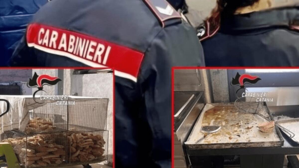 Panificio “horror” nel Catanese chiuso dai Carabinieri: apprezzato ma con gravi problemi di igiene - 