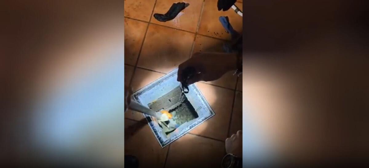 La droga era dove nessuno se lo aspettava | A Catania è successo (come in un film) e l'hanno appena beccato - 