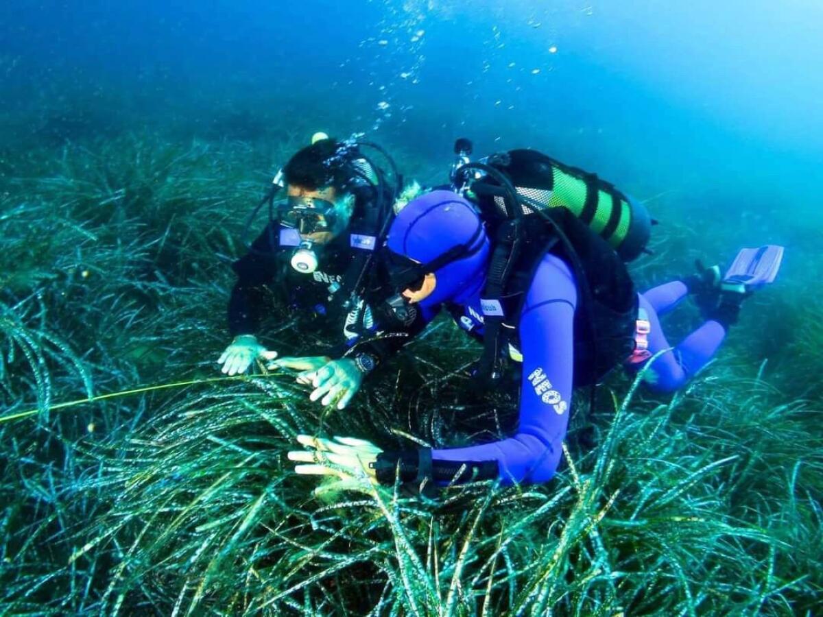 Siti archeologici sommersi in Sicilia | È ora possibile per i subacquei non vedenti esplorare il passato! - 