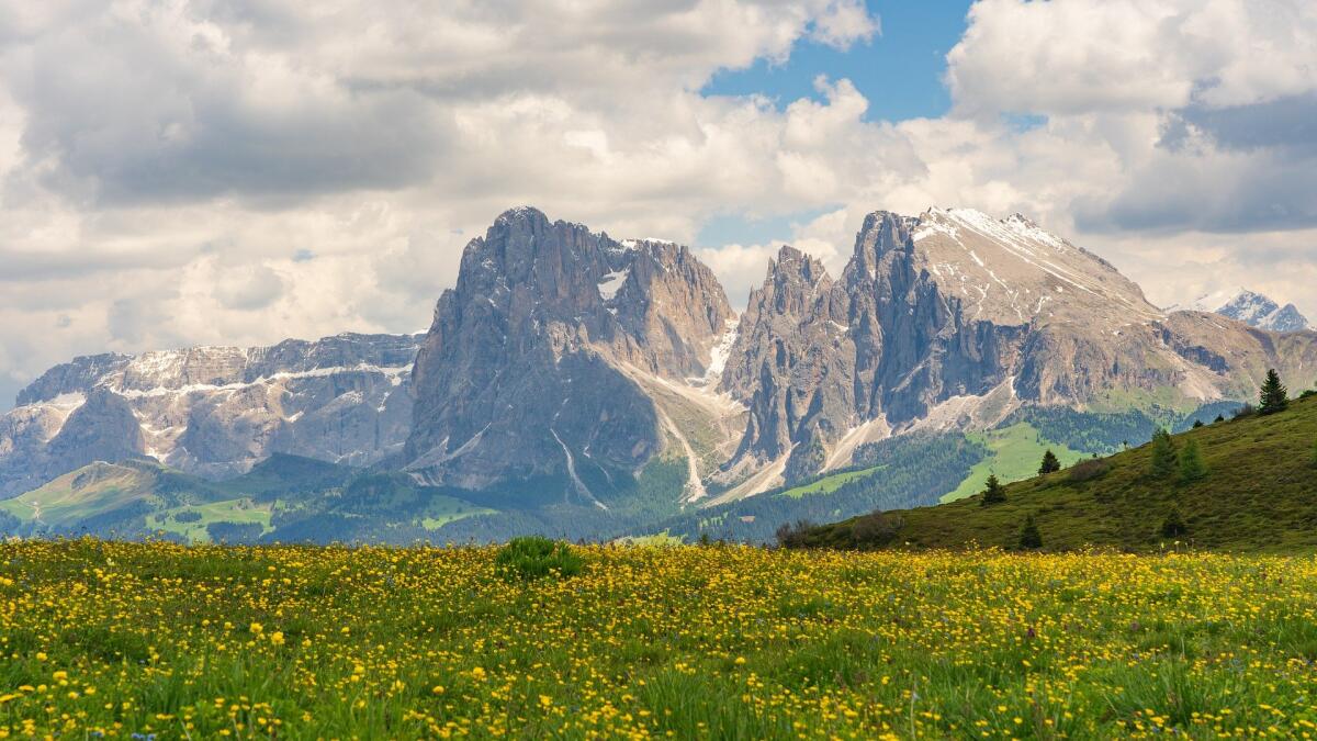 Giornata internazionale della montagna: un'occasione per celebrare e riflettere - 