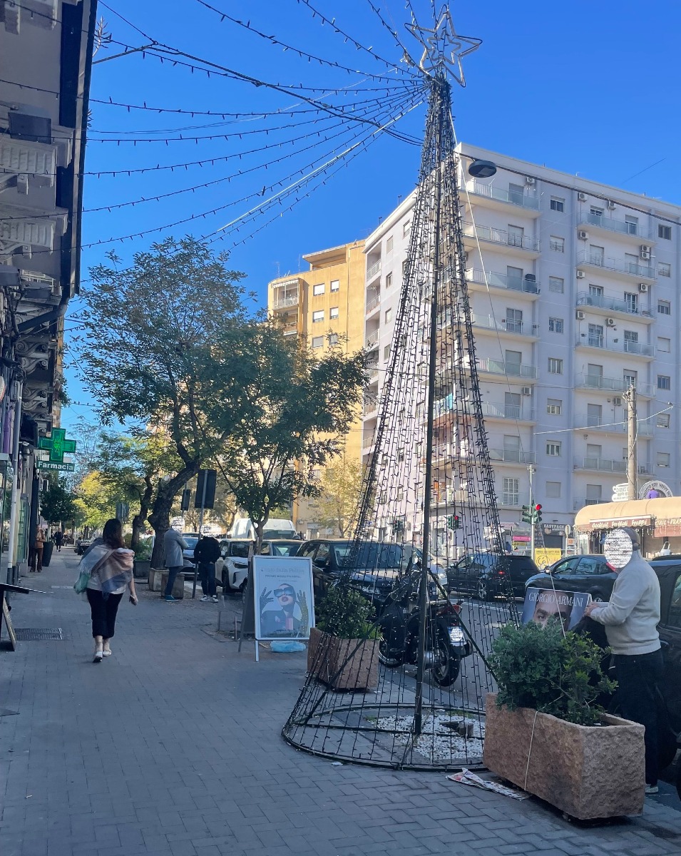 A Catania si tagliano gli alberi veri per mettere quelli finti