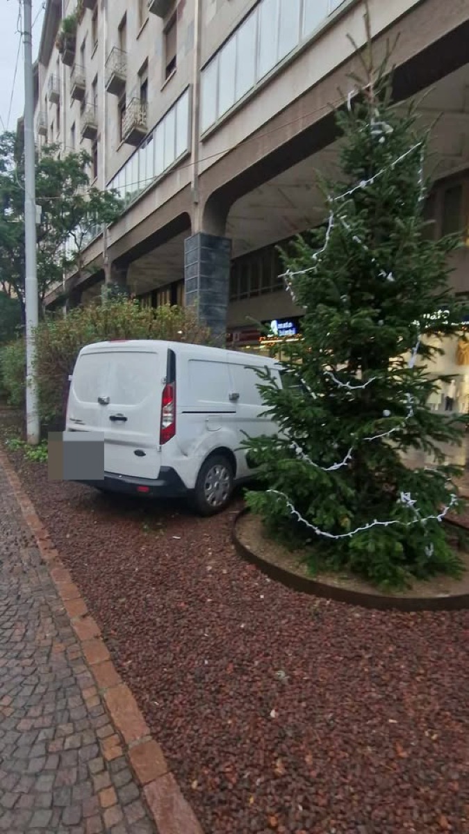 L’insolito regalo di un catanese sotto l’albero di Natale del Corso Sicilia [FOTO]