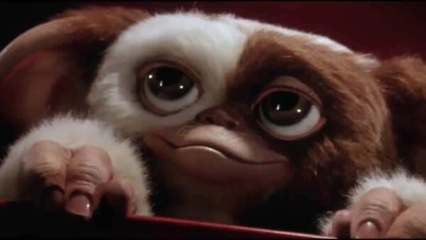  Quello che non ricordi su Gremlins: il cult anni 80 che spaventò e divertì!