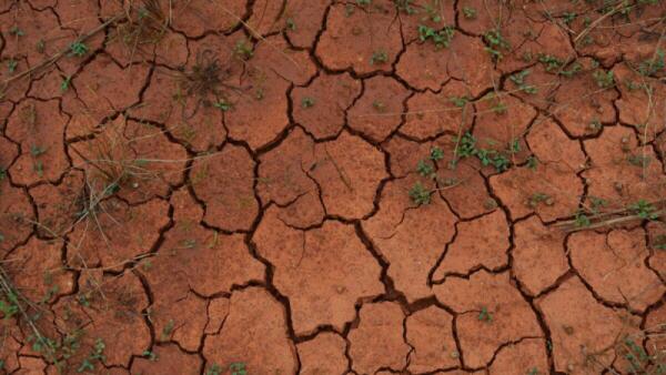 Siccità in Sicilia: la guerra tra comuni per l'acqua che rimanere è solo l'inizio!