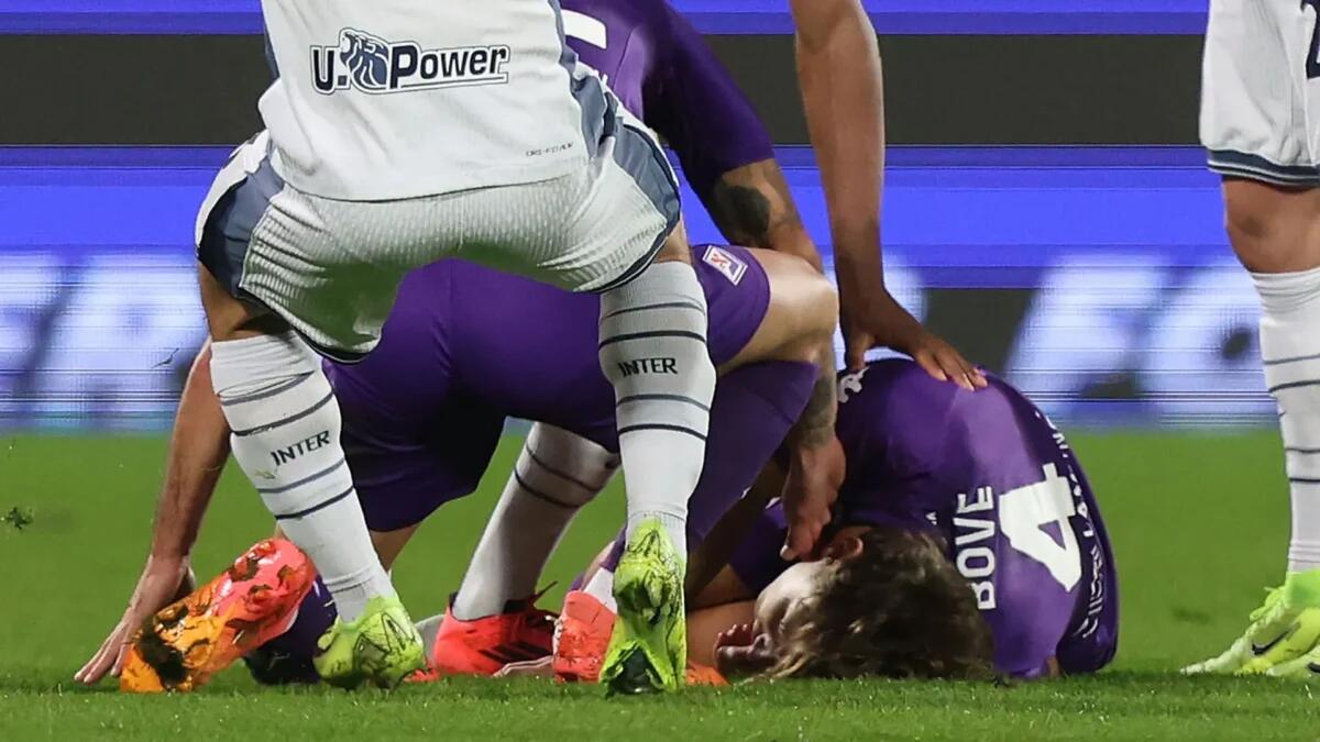 Bove stabilizzato e sedato: ecco perché i medici non temono per la sua vita! - 