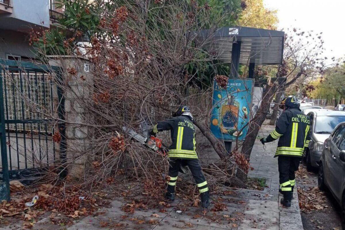 Forte vento e fulmini colpiscono Palermo | Ecco perché i Vigili del Fuoco sono stati in allerta tutta la notte!