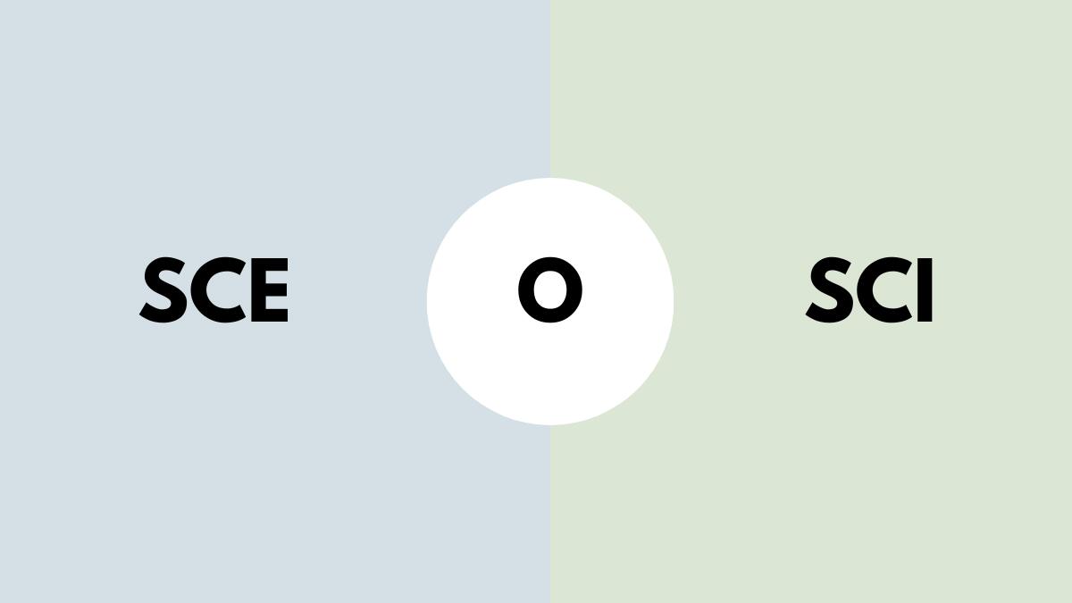 Scheda didattica parole con "sce" e "sci": completa con i termini corretti! - 
