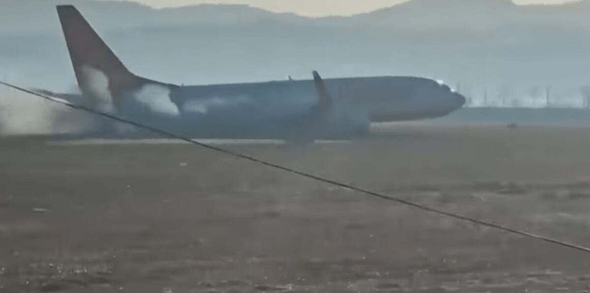Aereo si schianta in Corea del Sud: cosa non sapevi sul pericolo degli stormi di uccelli? - 