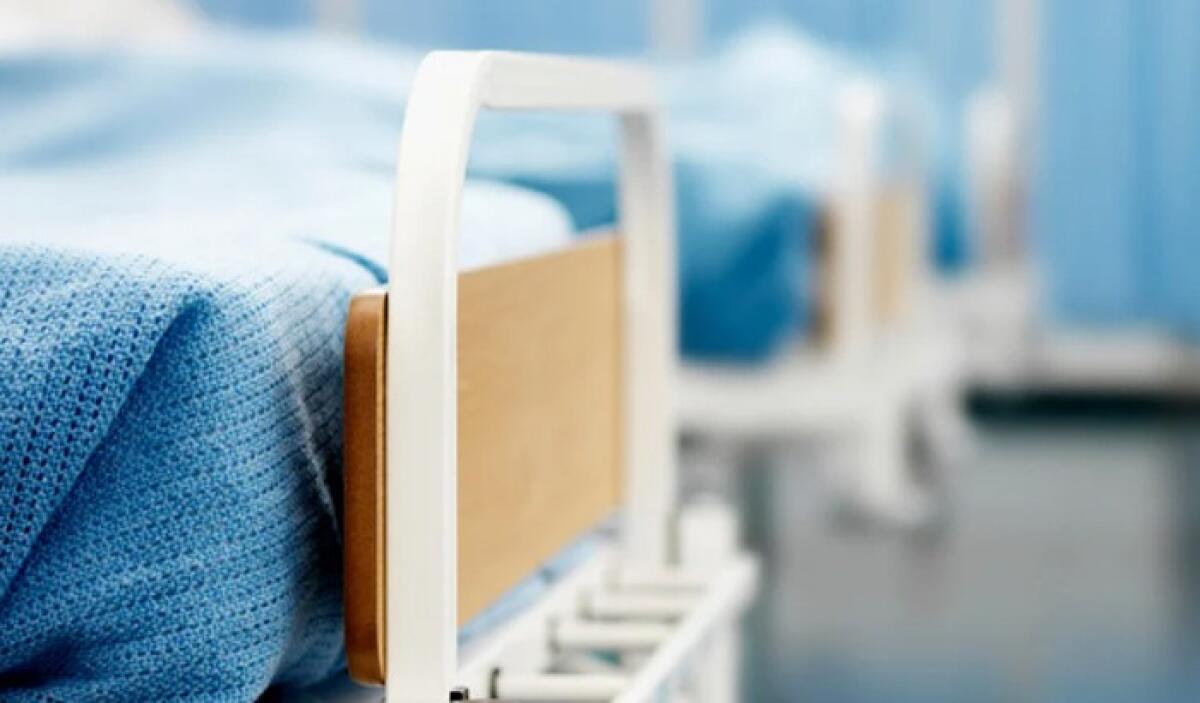 Influenza dal Congo in Italia | Cosa nasconde davvero il ministero della Salute? - 