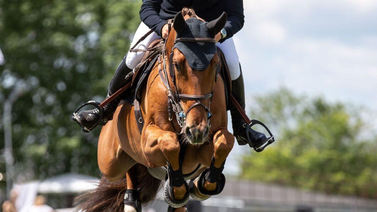 FISE sotto accusa | L'eroica battaglia di una madre contro l'invisibile abuso nel mondo degli sport equestri! - 