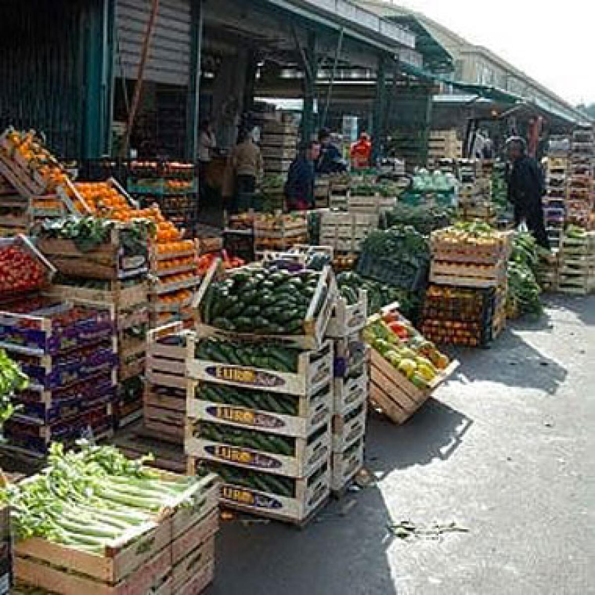 A Palermo aprono i Mercati Ortofrutticolo e Ittico anche nei festivi? | Scopri cosa cambia nel calendario 2025! - 
