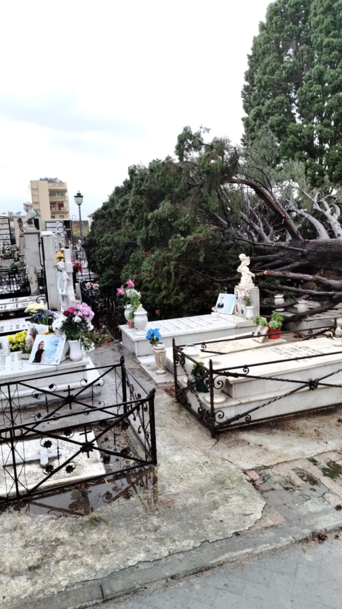 Allerta meteo a Messina | Perché il Comune di Messina chiude ville e cimiteri? Scopri le vere ragioni!