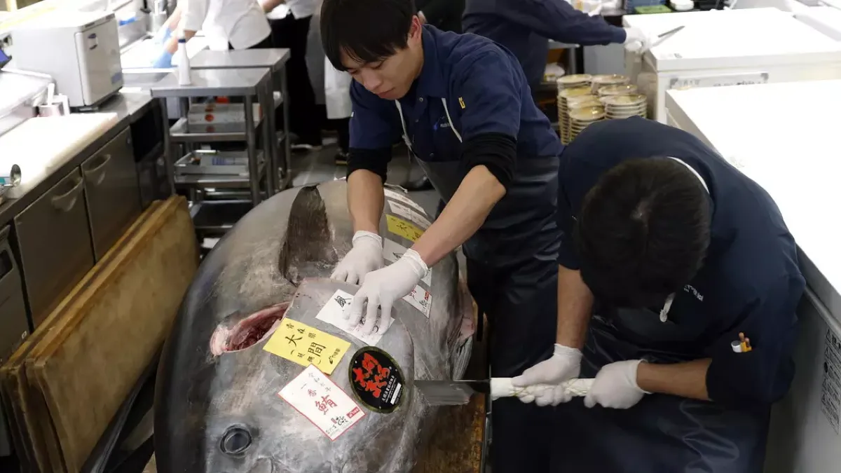 Tonno da oltre un milione di euro a Tokyo: ecco chi l’ha comprato 