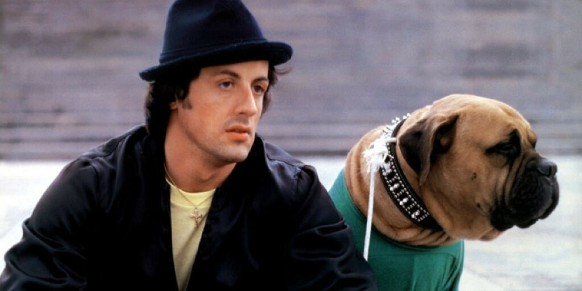 Rocky 2 nel 1980: il dettaglio incredibile dietro il sequel che ha emozionato il mondo - 