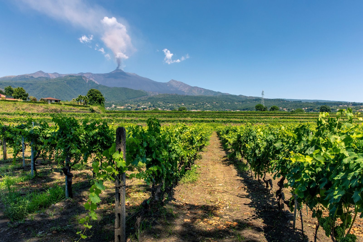 L'Etna e il vino nascondono curiosità millenarie | A Catania questi segreti li devi assolutamente conoscere