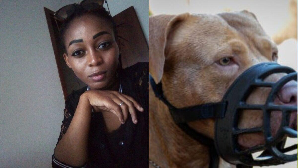 Ragazza di 26 anni uccisa da un branco di cani | La verità che svela una tragedia annunciata! -