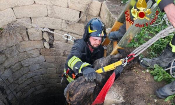 Cane precipita in un pozzo nel Catanese: intervento Vigili del Fuoco 