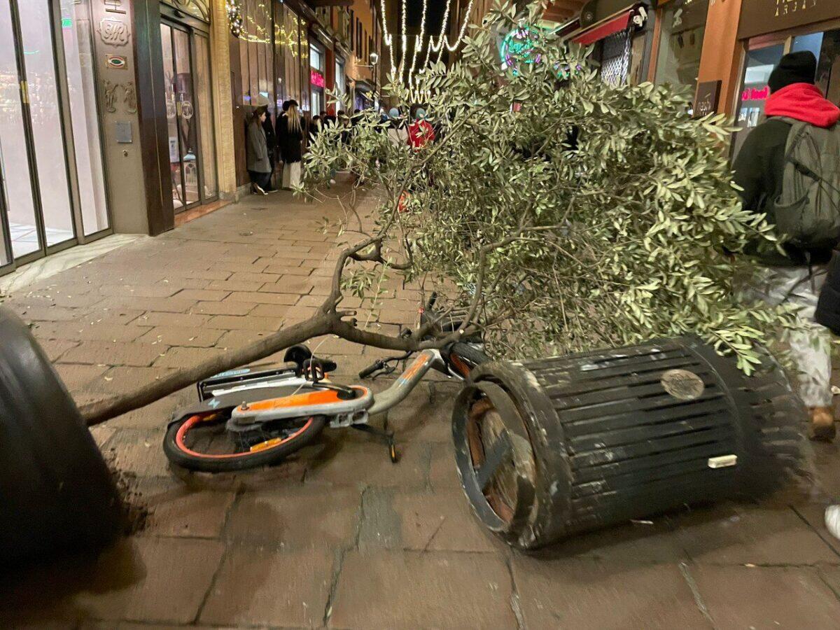 Ecco cosa è successo a Bologna! | Scoppia la protesta che divide la città tra patrioti e oppositori! - 