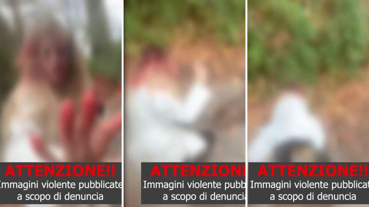 Sequestrata e picchiata per giorni | Perché i domiciliari sono un affronto alla giustizia? -