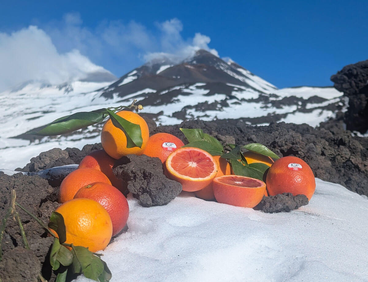 L'Arancia Rossa sulla Vetta dell'Etna | Scopri il Segreto dei Produttori per Combattere il Cambiamento Climatico!