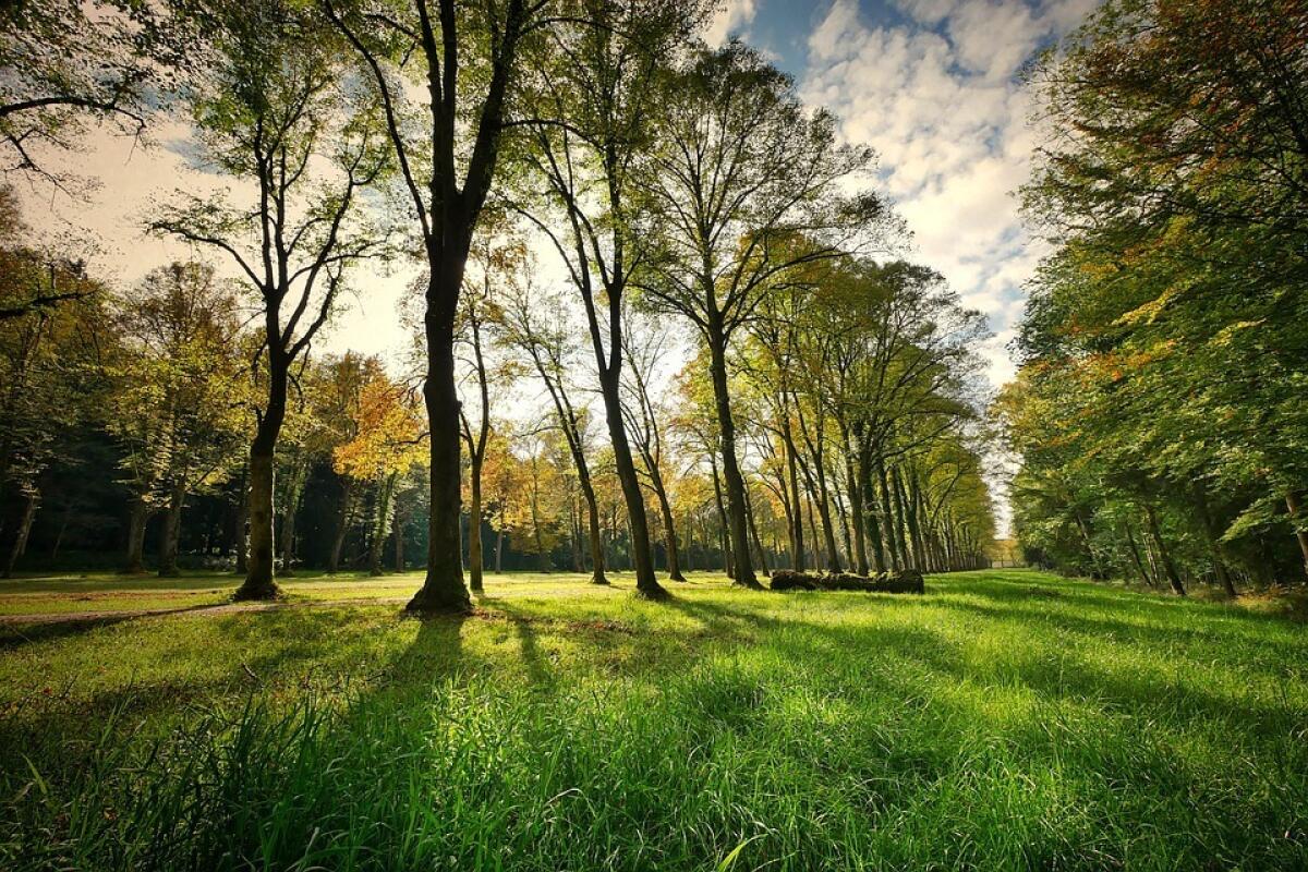 Parchi di Sicilia | Scopri come partecipare alla fiera di Stoccarda e sostenere il Parco Fluviale dell'Alcantara! - 