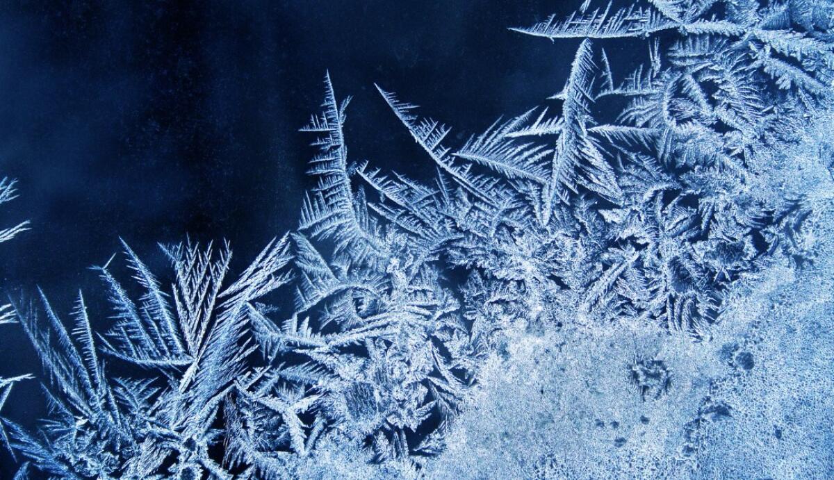 Gelo artico in arrivo | Preparati a temperature da record nelle grandi città! - 