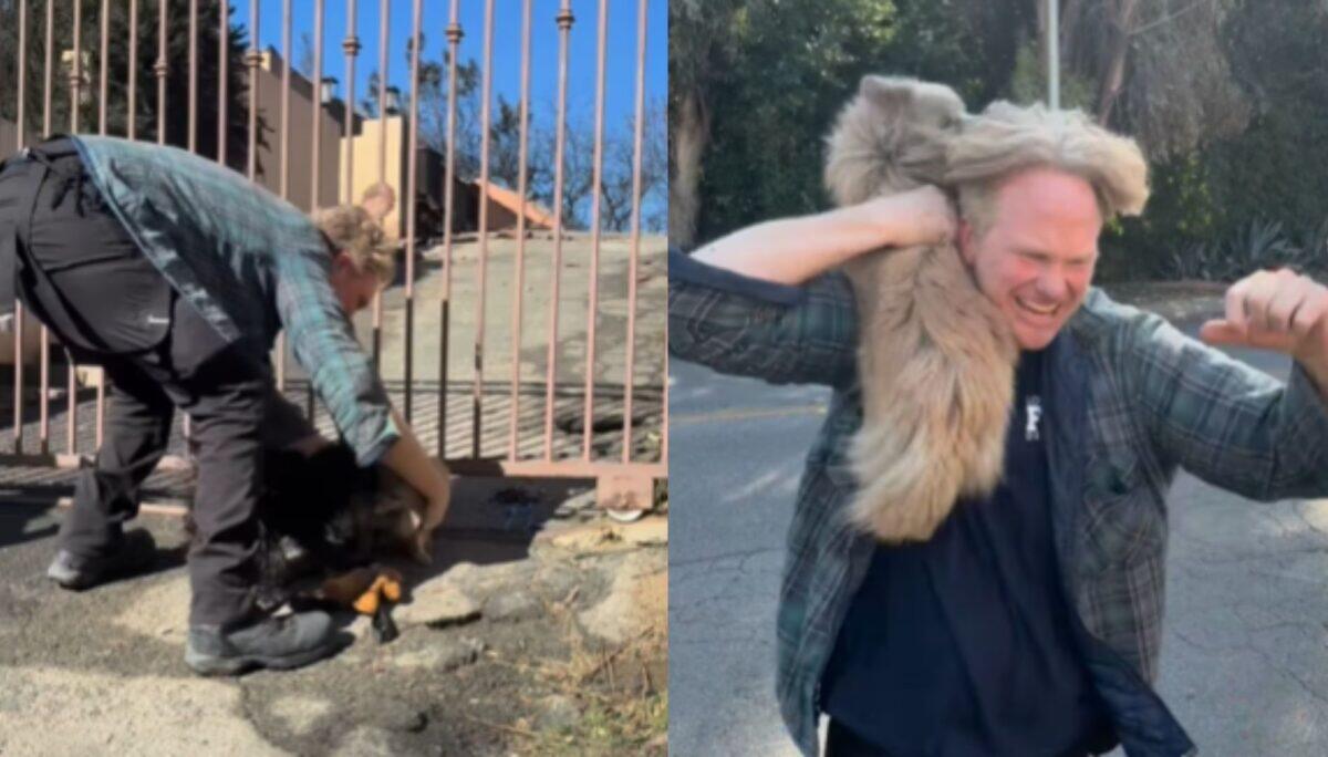 Cane ritrovato dopo 5 giorni in un inferno di fuoco | La commozione che ha sciolto il cuore di migliaia di persone! - 