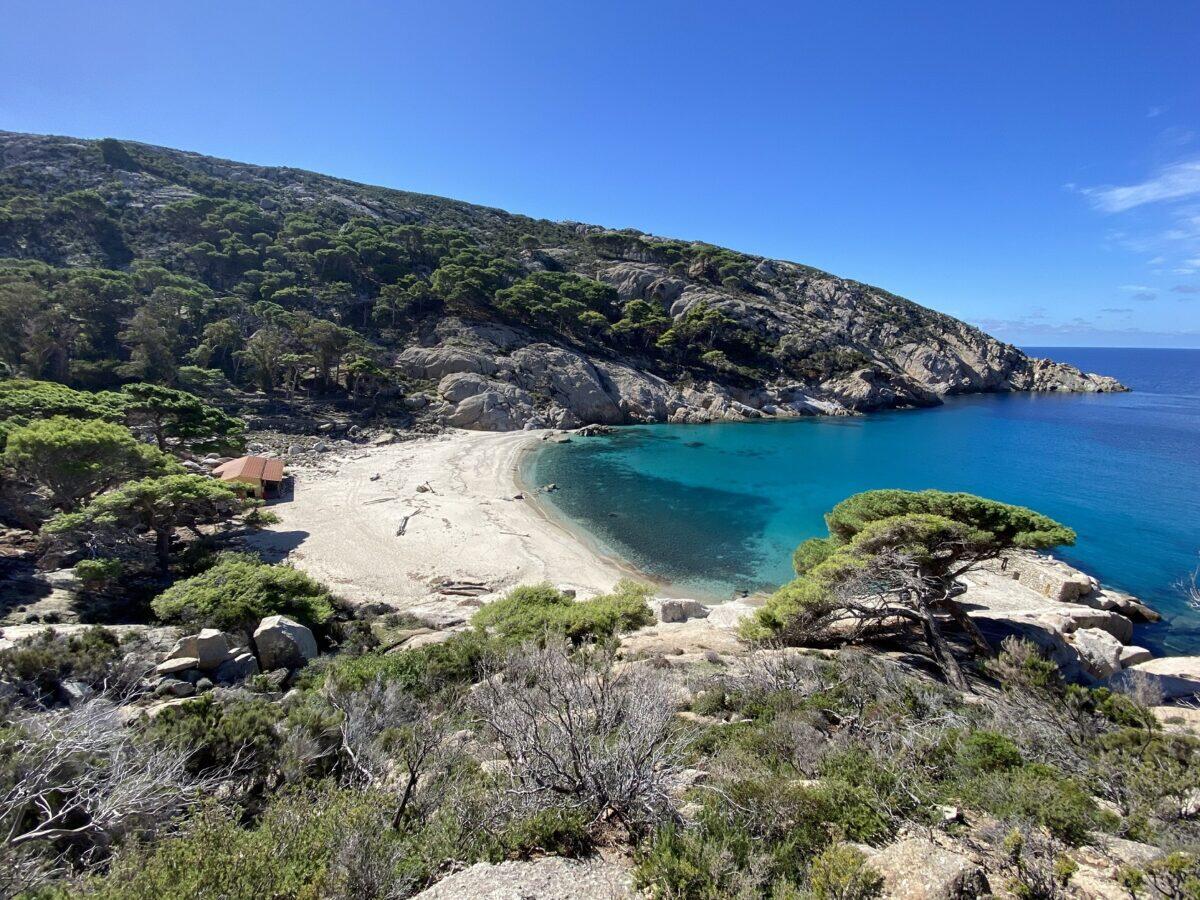 Isola di Montecristo: Il fascino proibito che in pochi potranno conquistare! | Riuscirai a prenotare prima che sia troppo tardi?