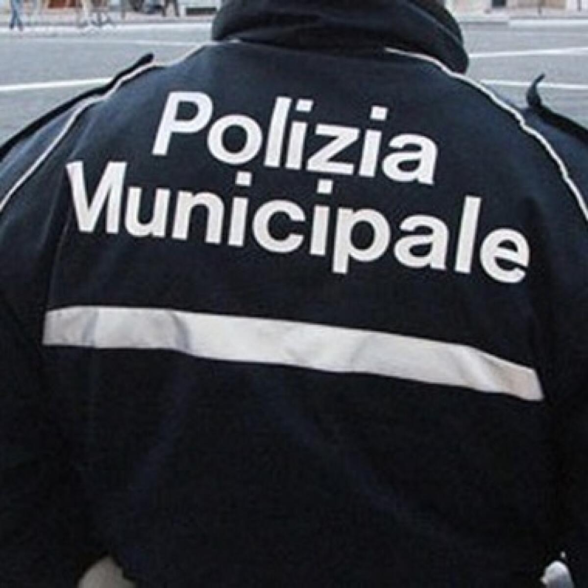 Palermo | Il sorprendente report della Polizia Municipale: sanzioni e ritiri di patenti durante le festività!