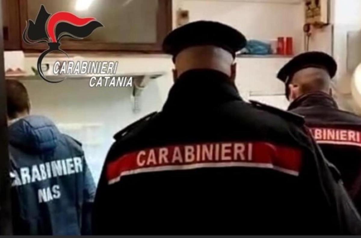 Lavoro nero a Catania | Le attività chiuse e multate - 