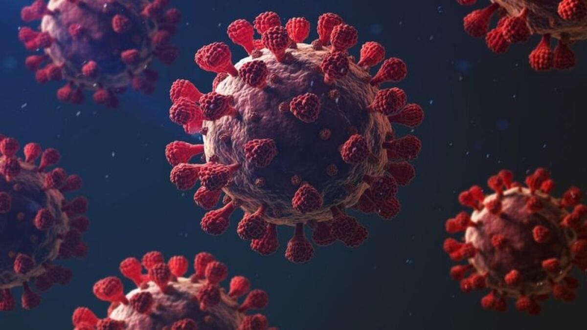 Scoperto un nuovo coronavirus nei pipistrelli | Sei davvero al sicuro dall'ultima minaccia virale? - 