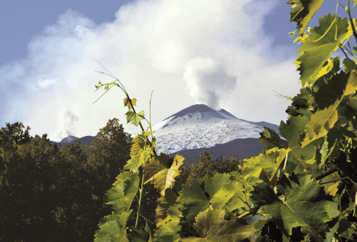 L'Etna svela segreti incantevoli | Scopri perché questo vulcano potrebbe cambiare la tua idea sulla Sicilia! - 