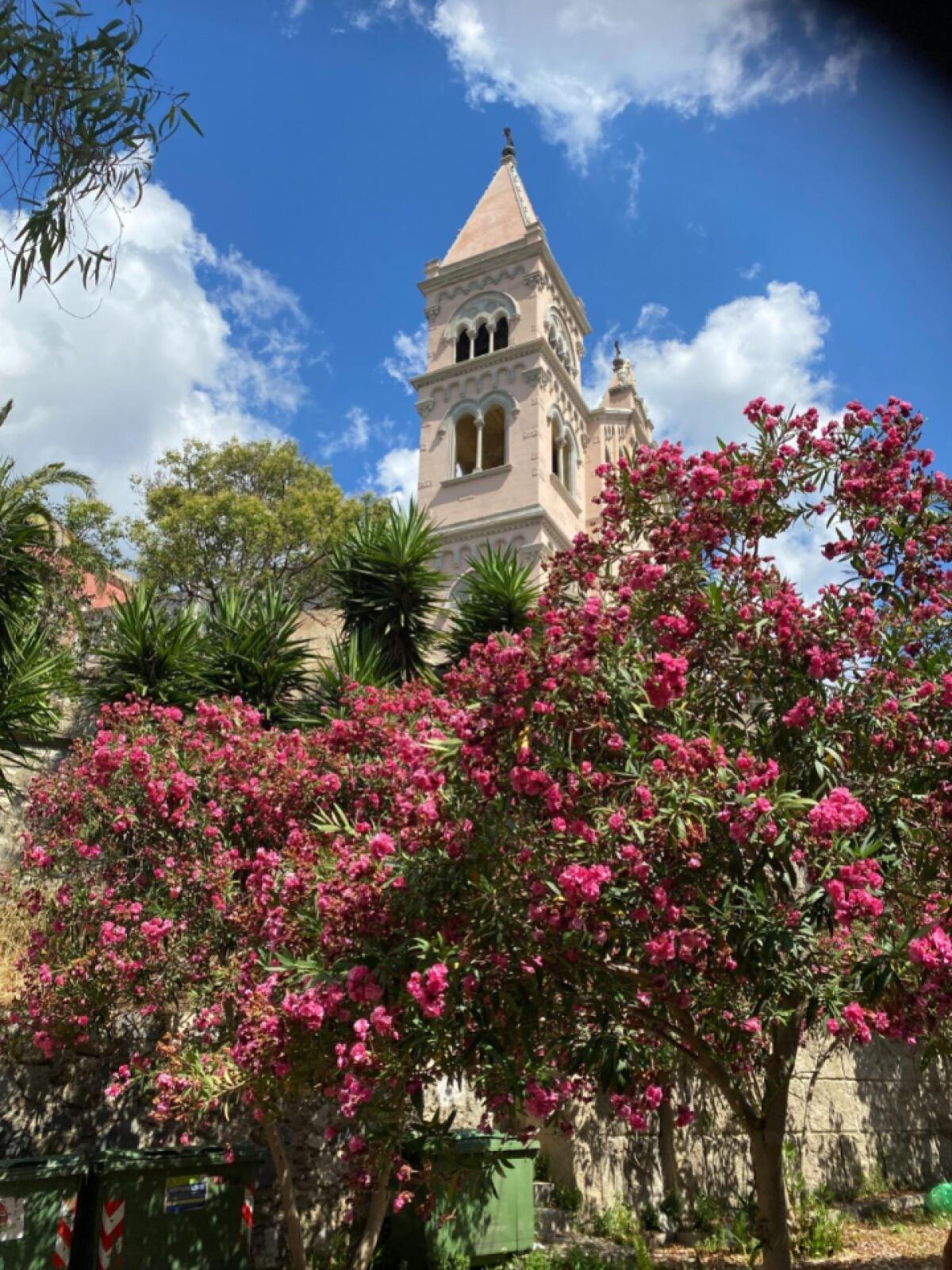 Riaprono i Giardini di Montalto | Il Comune di Messina sorprende tutti con questa iniziativa per la comunità!