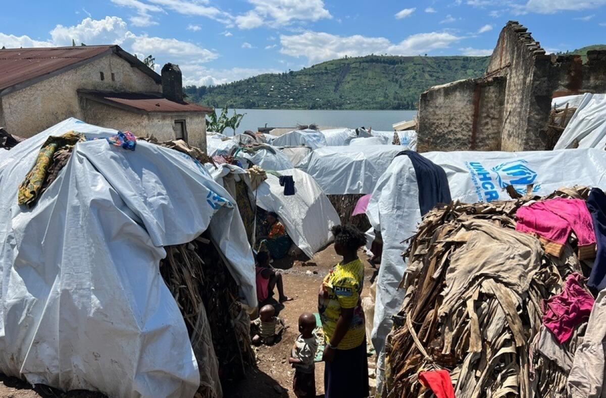 Congo in guerra per giacimenti da 24mila miliardi di dollari | Ma quanto davvero sapete sui conflitti etnici e le loro vere motivazioni? - 