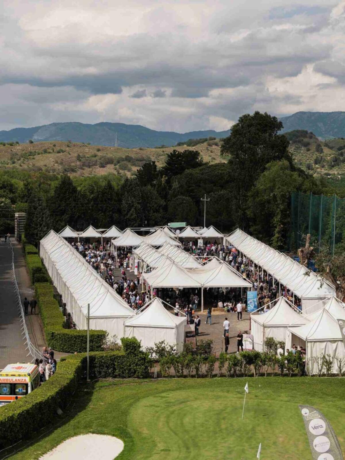 Vini dell’Etna in una serra all’avanguardia | Scopri perché questa edizione sorprenderà tutti! - 