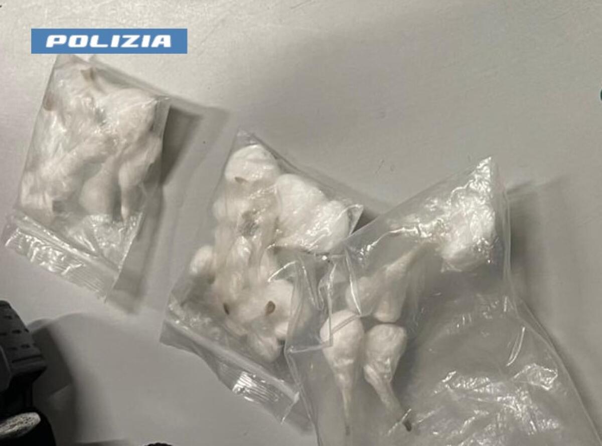 Polizia Catania sorprende il spacciatore: ecco cosa ha cercato di nascondere nel bagno! - 