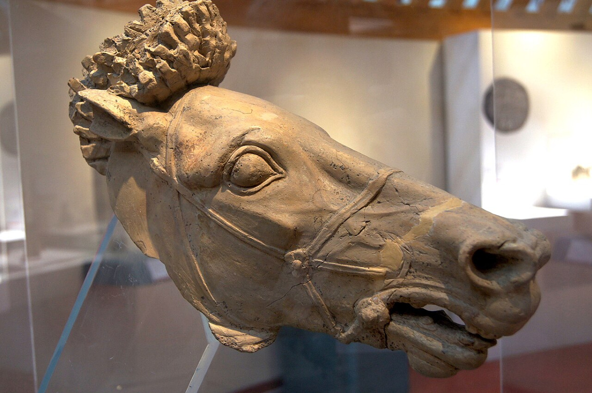 Il Museo Archeologico di Gela | Tesori nascosti della Sicilia Antica che stupiscono il mondo - Foto: Rjdeadly/Wikipedia