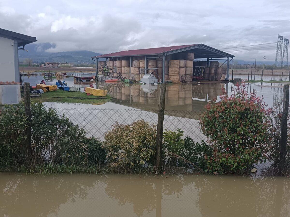 Allagamenti senza precedenti in 13 comuni fiorentini | Sei sicuro di sapere tutto sulle emergenze climatiche? - 